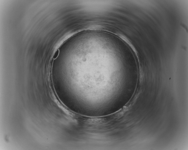 X0000103141437200808221206