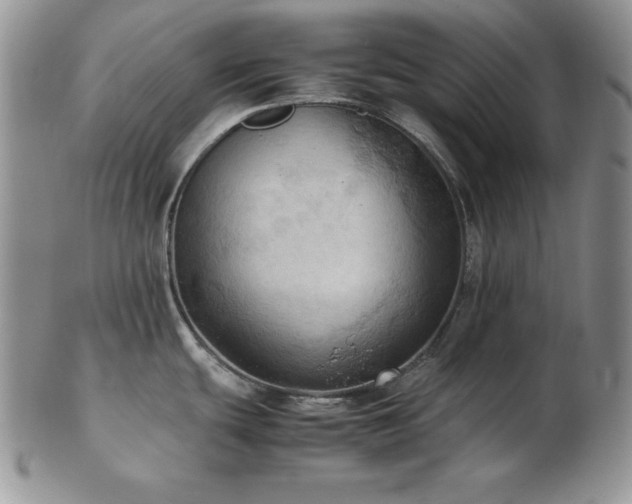 X0000103141439200808221206