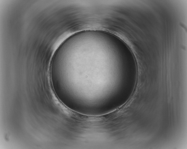 X0000103141440200808221206