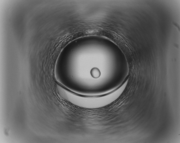 X0000103141441200808221206