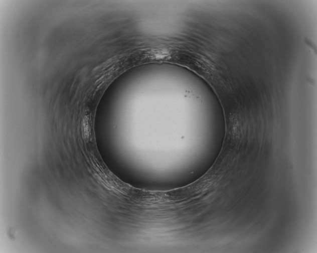 X0000103141442200808221206