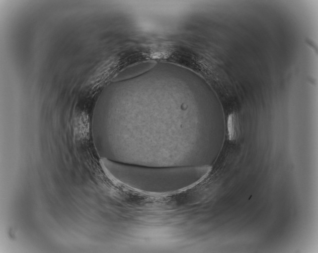 X0000103141443200808221206