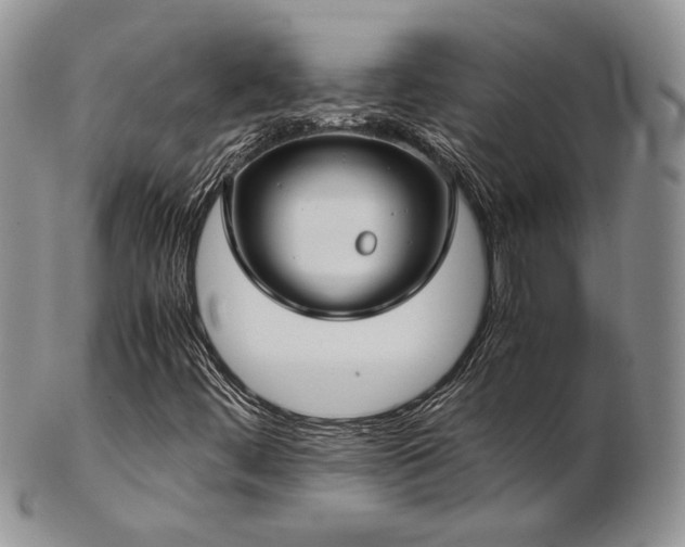 X0000103141444200808221206