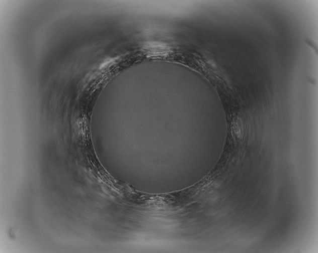 X0000103141445200808221206