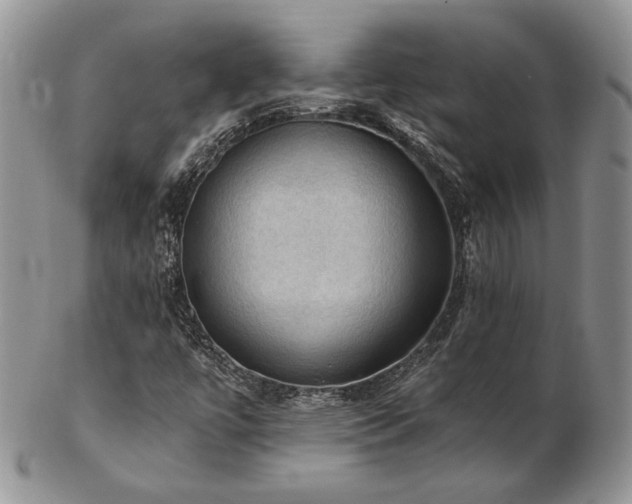 X0000103141447200808221206