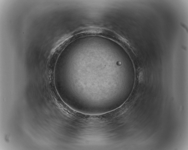 X0000103141448200808221206