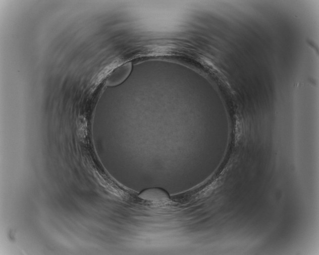 X0000103141449200808221206