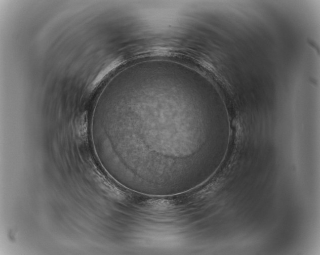 X0000103141450200808221205