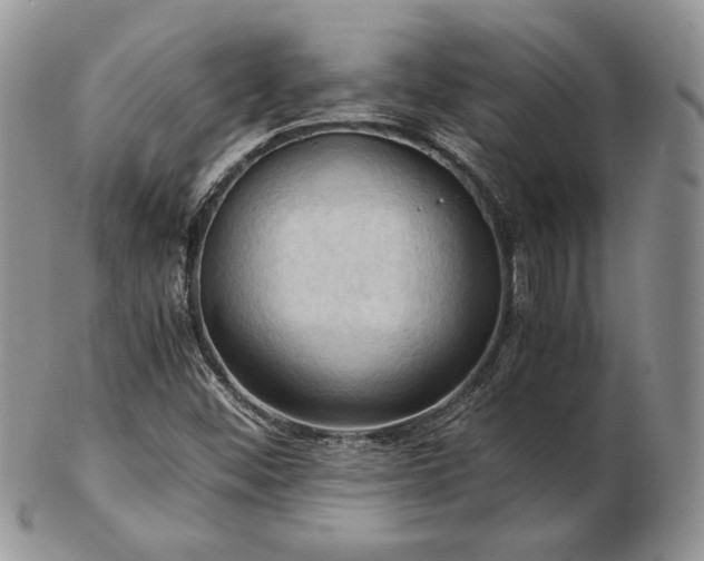 X0000103141452200808221205