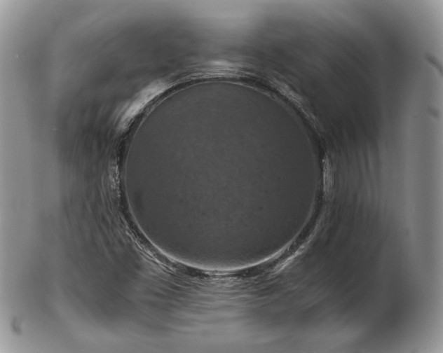 X0000103141453200808221205