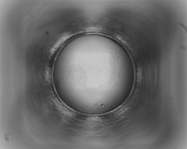 X0000103141454200808221205