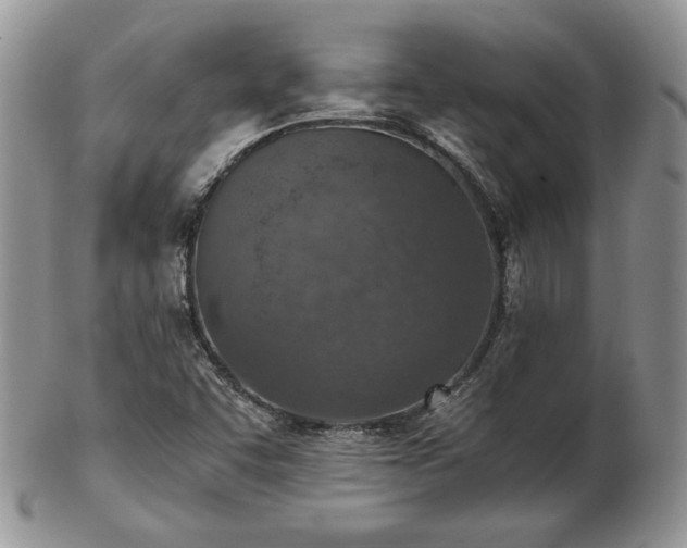 X0000103141455200808221205