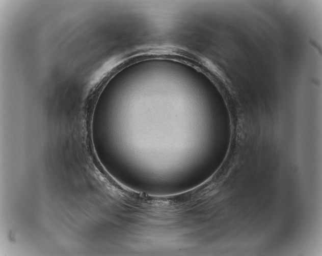 X0000103141456200808221205