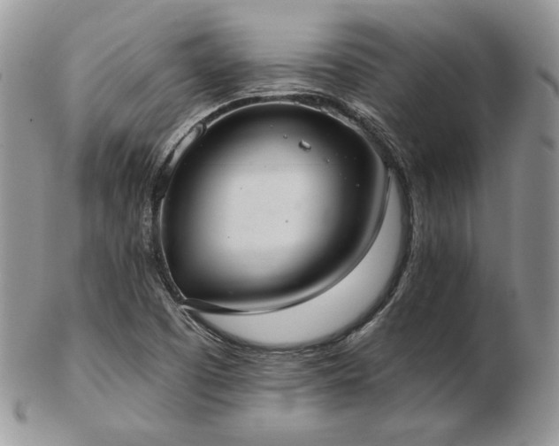 X0000103141457200808221205