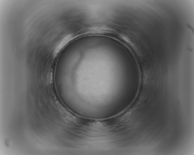 X0000103141459200808221205