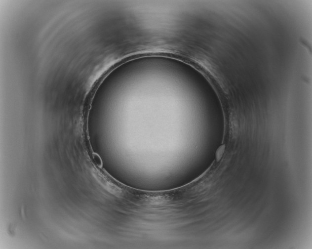 X0000103141460200808221205