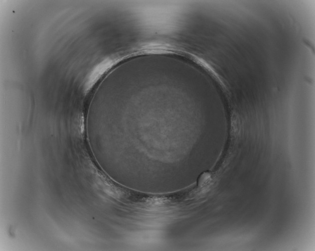 X0000103141461200808221205