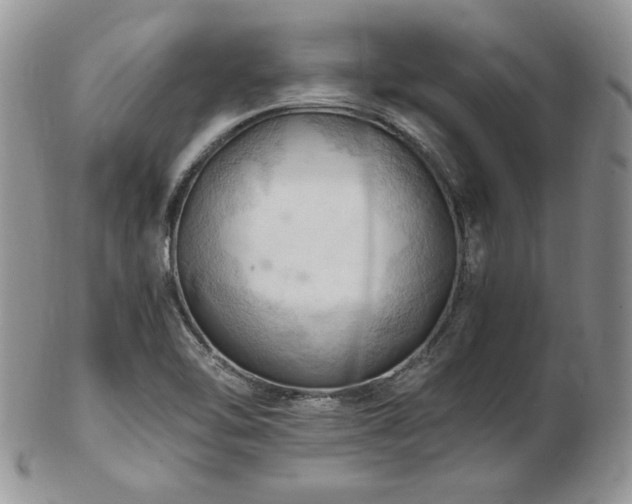 X0000103141462200808221205