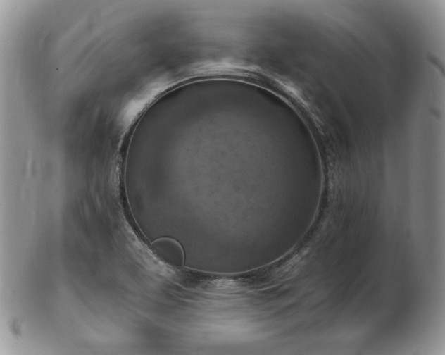 X0000103141463200808221205