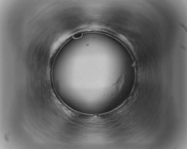 X0000103141464200808221205