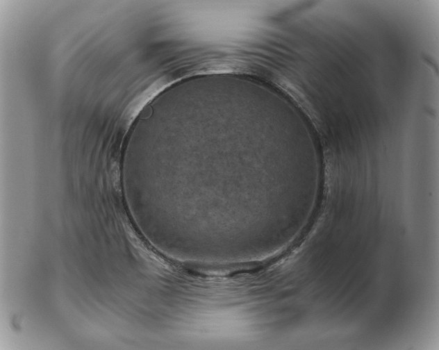 X0000103141465200808221205