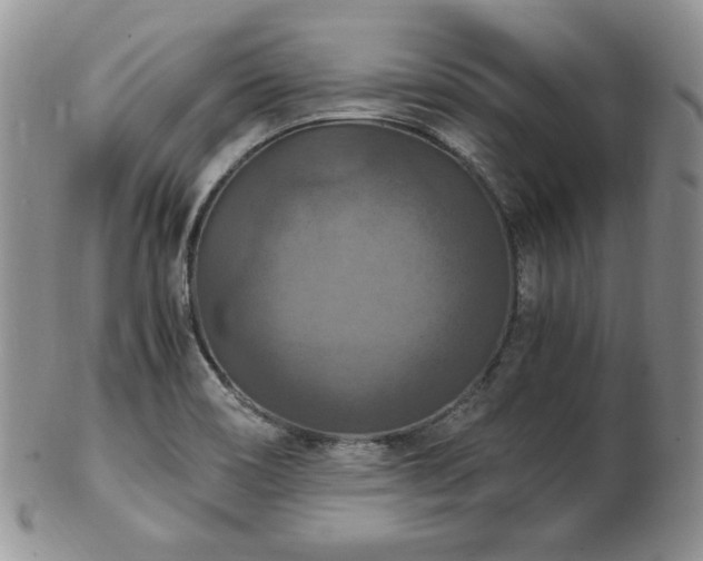 X0000103141466200808221205