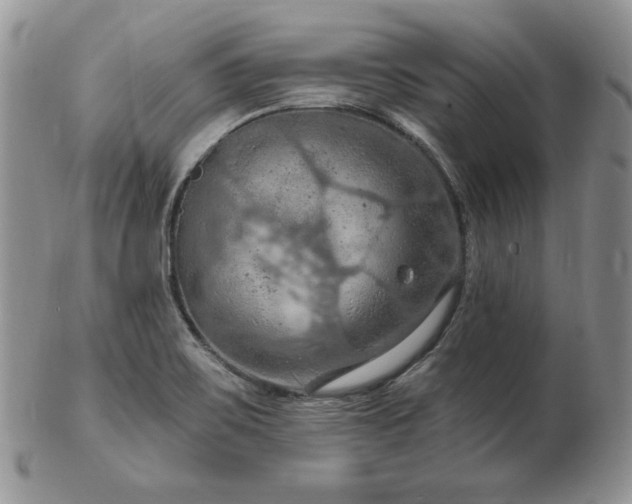 X0000103141467200808221205