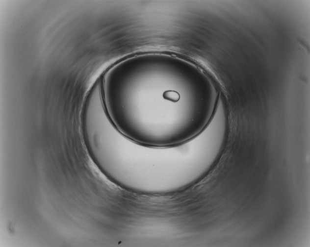 X0000103141468200808221205