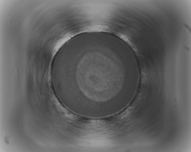 X0000103141469200808221205