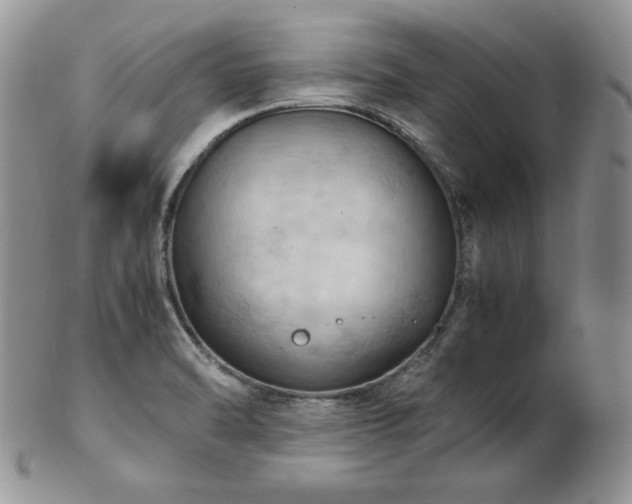 X0000103141470200808221205