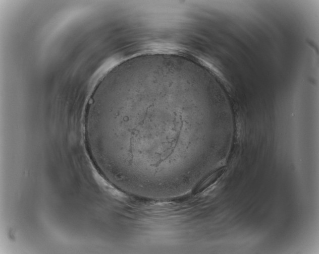 X0000103141471200808221205