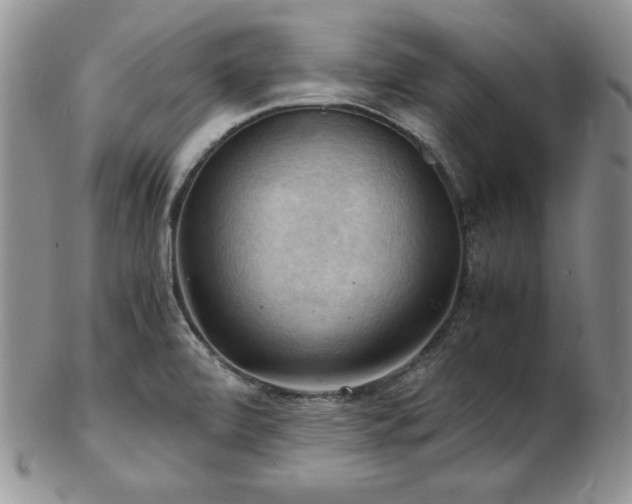 X0000103141472200808221205