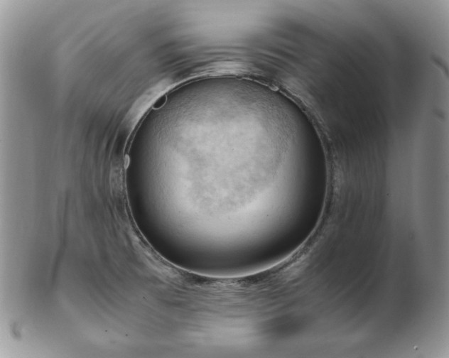 X0000103141473200808221205