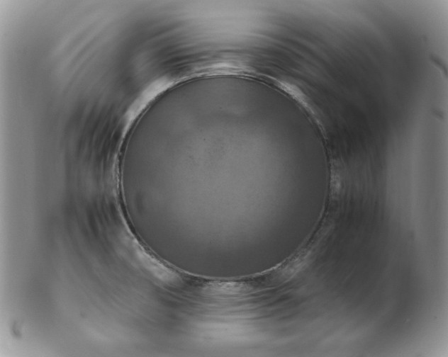 X0000103141474200808221205