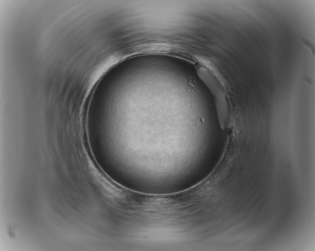 X0000103141475200808221205