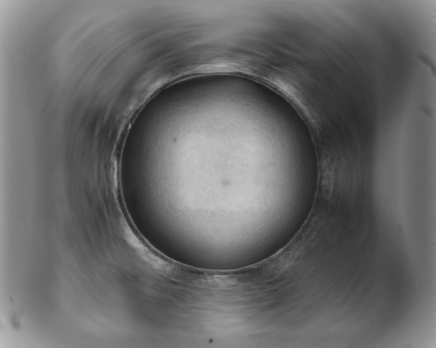 X0000103141476200808221205