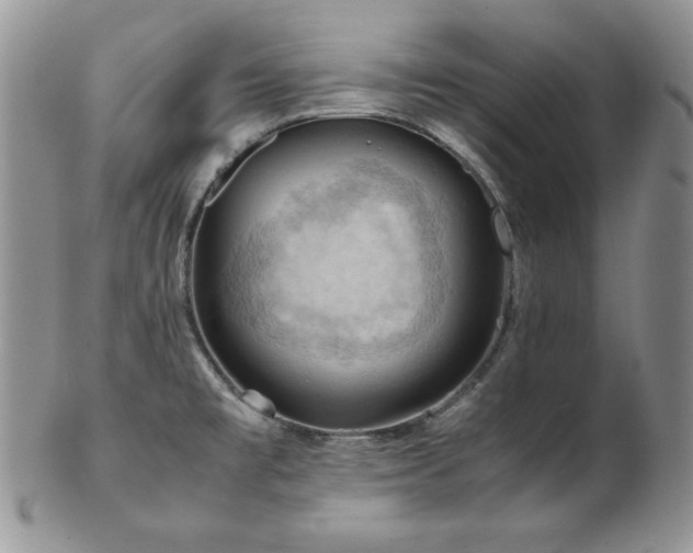 X0000103141477200808221205