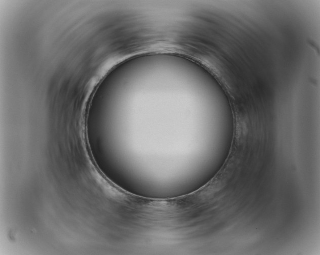 X0000103141478200808221205