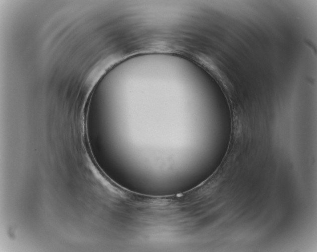 X0000103141479200808221205