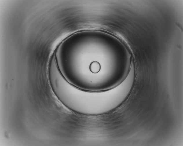 X0000103141480200808221205