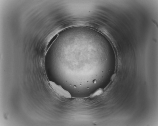 X0000103141481200808221205