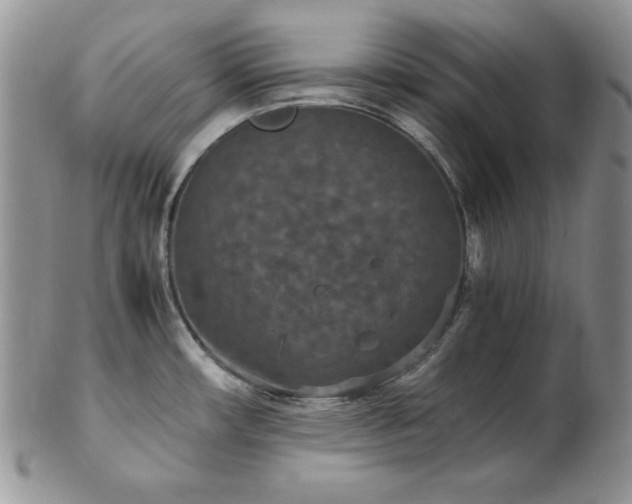 X0000103141482200808221205