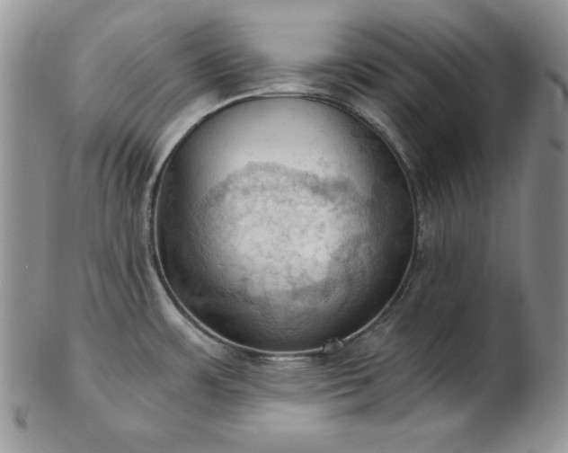 X0000103141483200808221205