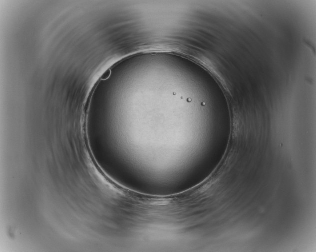 X0000103141484200808221205