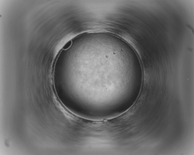 X0000103141485200808221205