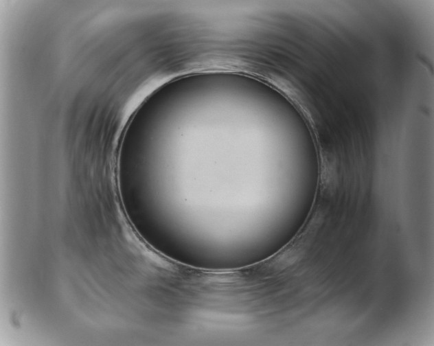 X0000103141486200808221205