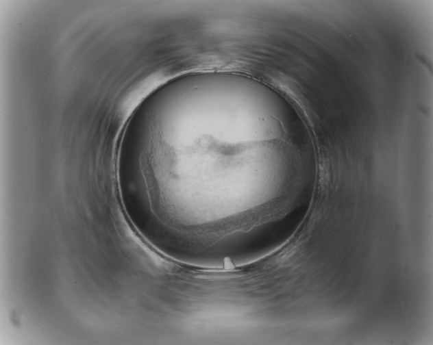 X0000103141487200808221205