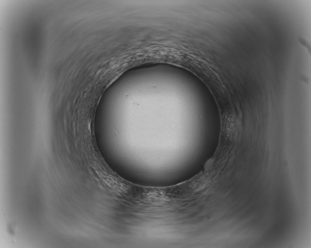 X0000103141489200808221204