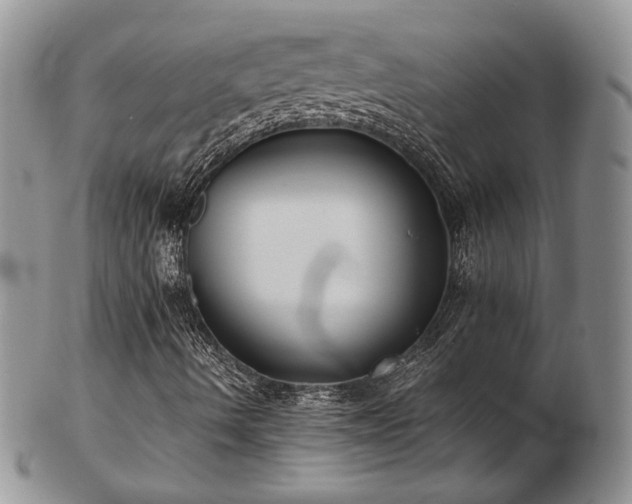 X0000103141490200808221204