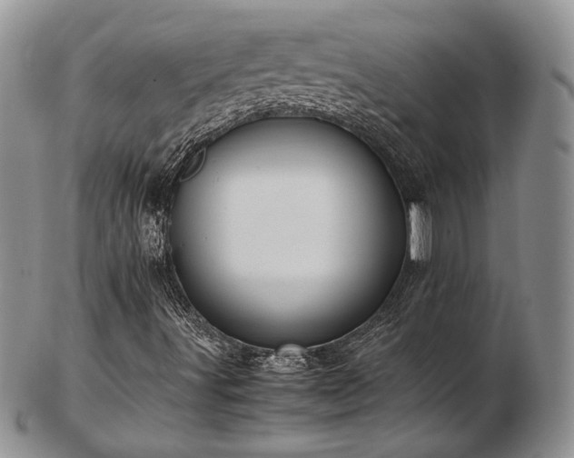 X0000103141491200808221204